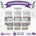 Rhodiola Rosea: A Força da Vitalidade e Clareza - Suplemento 100% Natural em Cápsulas
